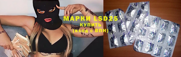 индика Балахна