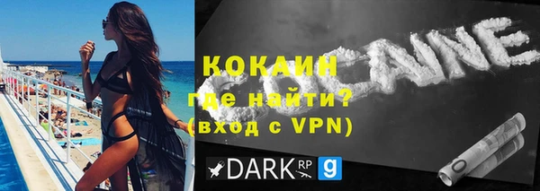 индика Балахна