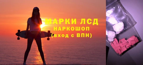 индика Балахна