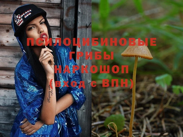 индика Балахна